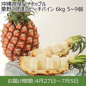 沖縄県産パイナップル 粟野さん達のピーチパイン 6kg 5~9個【イオンカード会員限定】