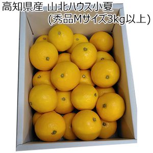 高知県産(JA高知県香美地区)山北ハウス小夏(秀品Mサイズ3kg以上)【お届け期間：4/15(土)〜5/5(金)】【ふるさとの味・中四国】
