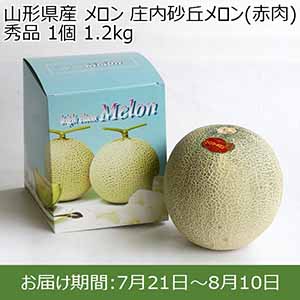 山形県産 メロン 庄内砂丘メロン(赤肉) 秀品 1個 1.2kg 【イオンカード会員限定】
