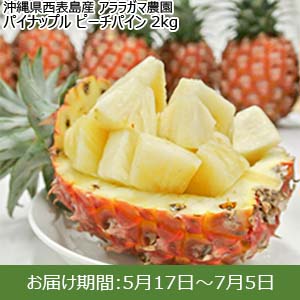 沖縄県西表島産 アララガマ農園 パイナップル ピーチパイン 2kg【お届け期間：5/17〜7/5】【おいしいお取り寄せ】
