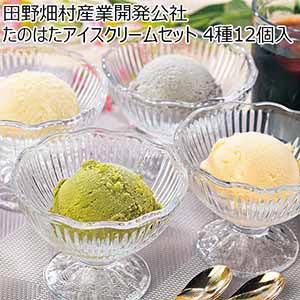 田野畑村産業開発公社 たのはたアイスクリームセット【おいしいお取り寄せ】