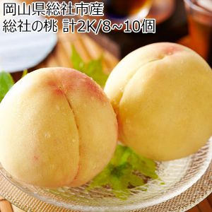 岡山県総社市産 総社の桃 計2K/8~10個 限定100箱【お届け期間：6月25日〜7月20日】【ふるさとの味・中四国】