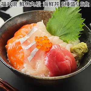 福井県 鮮魚丸松 海鮮丼 5種盛り 5食【イオンカード会員限定】