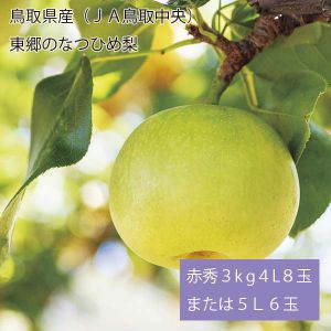鳥取県産(JA鳥取中央) 東郷のなつひめ梨 赤秀3kg4L8玉または5L6玉(お届け期間:8月21日〜8月31日)【NN】