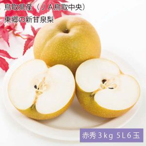 鳥取県産(JA鳥取中央) 東郷の新甘泉梨 赤秀3kg5L6玉(お届け期間:8月21日〜9月15日)【NN】