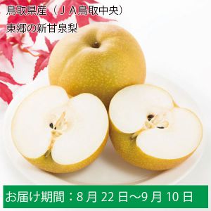 鳥取産新甘泉梨 秀10玉5kg✖️2箱！ | givingbackpodcast.com