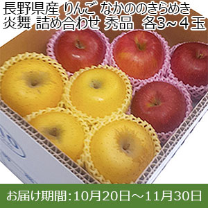 長野県産 りんご なかののきらめき 炎舞 詰め合わせ 秀品　各3~４玉 送料込み【イオンカード会員限定】