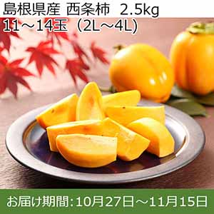 島根県産 西条柿　2.5kg   11〜14玉（2L〜4L)【お届け期間：10/27〜11/15】【イオンカード会員限定】