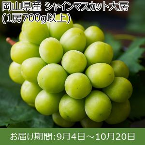 岡山県産　シャインマスカット大房 1房70０ｇ以上【お届け期間：9月4日〜10月20日】【ふるさとの味・中四国】