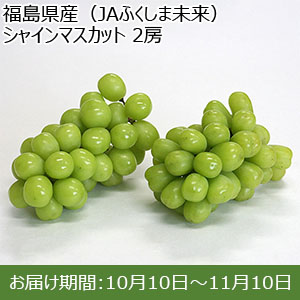 福島県産（JAふくしま未来） シャインマスカット 600g以上 2房 送料込み【お届け期間：10/10〜11/10】【BUZZTTO SALE】
