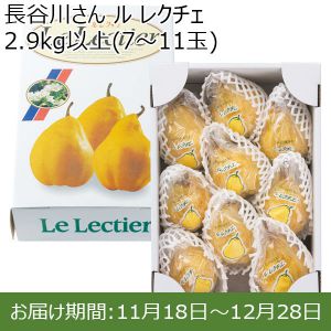 新潟県産(新潟市)長谷川さん ル レクチエ 2.9kg以上(7〜11玉)【お届け期間 11／18〜12／28】【ふるさとの味・北陸信越】