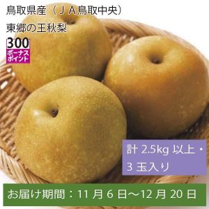 鳥取県産(JA鳥取中央 )東郷の王秋梨 計2.5kg以上・3玉入【お届け期間:11月6日〜12月20日】【ふるさとの味・中四国】