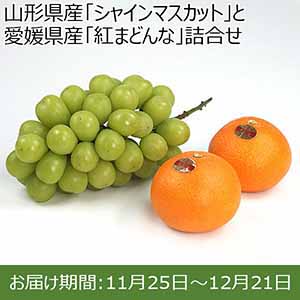 山形県産「シャインマスカット」と愛媛県産「紅まどんな」詰合せ【お届け期間11/25〜12/21】【イオンカード会員限定】