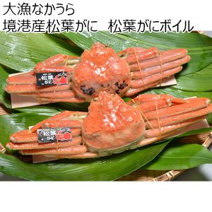 大漁なかうら　境港産松葉がに　松葉がにボイル（300〜500g）×2枚、境港産、スチロールセット【お届け期間：11月15日〜1月10日】【ふるさとの味・中四国】