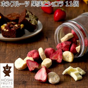 ホシフルーツ 果実とショコラ 11個【年間ギフト】[HFKC-002]