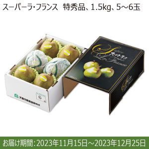 山形県産JAてんどう スーパーラ・フランス　1.5kg(特秀5〜6玉)【限定300点】【お届け期間:11/15(水)〜12/25(月)】【ふるさとの味・南関東】