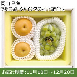 岡山県産　あたご梨・シャインマスカット詰合せ　梨2個（計１kg）、シャインマスカット1房(600g）　【お届け期間：11月18日〜12月28日】【ふるさとの味・中四国】
