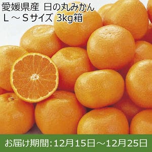 愛媛県産 日の丸みかん 3kg箱 【お届け期間：12月15日〜12月25日】【ふるさとの味・中四国】