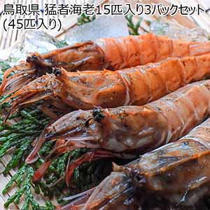 鳥取県 猛者海老15匹入り 3パックセット（45匹入り）【イオンカード会員限定】