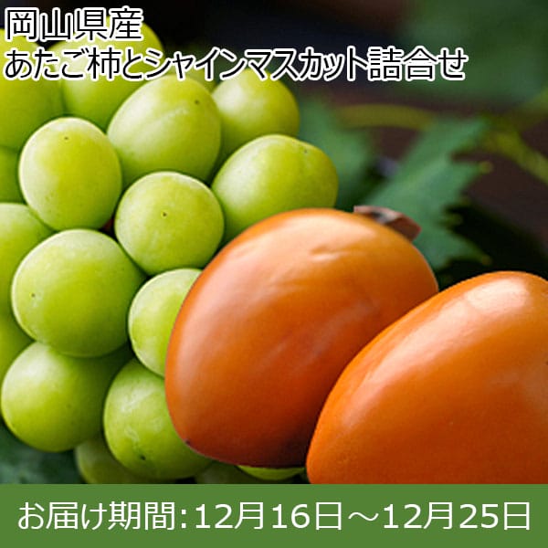 岡山県産 あたご柿とシャインマスカット詰合せ 柿2個、シャイン１房(計1kg) 【お届け期間：12月16日〜12月25日】【ふるさとの味・中四国】
