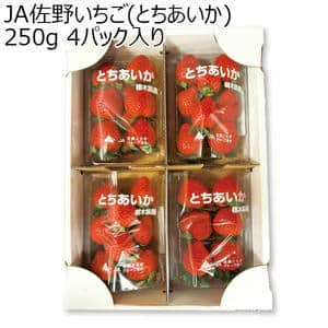 (栃木県)JA佐野いちご(とちあいか)250g 4パック入り【お届け期間2025/1/6-2025/2/28】【ふるさとの味・北関東】