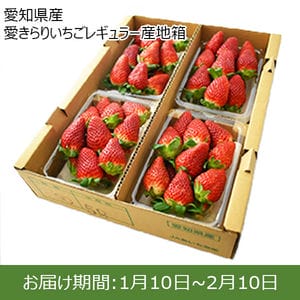 愛知県産 愛きらりいちごレギュラー産地箱(250g×4パック)【お届け期間：1/10(金)〜2/10(月)】【ふるさとの味・東海】