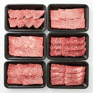 宮崎県産 宮崎牛焼肉用6部位食べ比べセット(ヒレ、ロース、かたロース、もも、かた、ばら) 600g