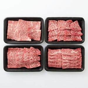 宮崎県産 宮崎牛焼肉用4部位食べ比べセット(かたロース、もも、ばら、かた) 600g