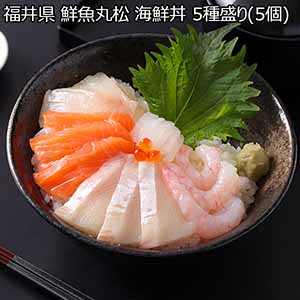 福井県 鮮魚丸松 鮮魚丸松 海鮮丼 5種盛り(5個)【おいしいお取り寄せ】