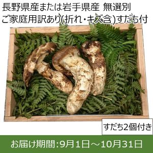 長野県産または岩手県産 『松茸』無選別 ご家庭用 訳あり(折れ・キズ含む)250g すだち付【おいしいお取り寄せ】