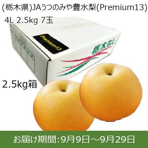 (栃木県)JAうつのみや 豊水梨(Premium13) 4L 2.5kg 7玉【お届け期間9/9(月)〜9/29(日)】【ふるさとの味・北関東】