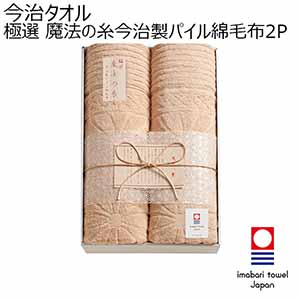 今治タオル 極選 魔法の糸今治製パイル綿毛布2P [AI-30027]【年間ギフト】