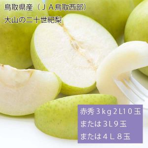 鳥取県産(JA鳥取西部) 大山の二十世紀梨 赤秀3kg2L10玉または3L9玉または4L8玉(お届け期間:8月26日〜9月25日)【NN】