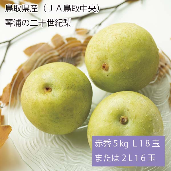 鳥取県産(JA鳥取中央)琴浦の二十世紀梨 赤秀5kg L18玉または2L16玉【お届け期間:8月26日〜9月25日】【梨ギフト】【NN】