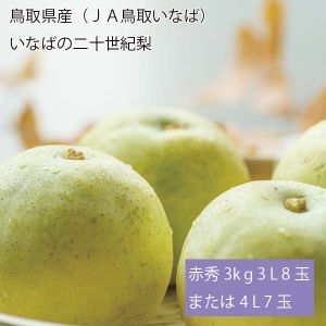 鳥取県産(JA鳥取いなば) いなばの二十世紀梨 赤秀3kg3L8玉または4L7玉(お届け期間:8月26日〜9月25日)【NN】