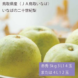 鳥取県産(JA鳥取いなば) いなばの二十世紀梨 赤秀5kg3L14玉または4L12玉(お届け期間:8月26日〜9月25日)【NN】