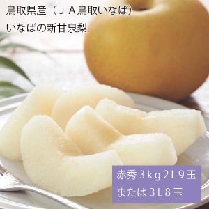 鳥取県産(JA鳥取いなば) いなばの新甘泉梨 赤秀3kg2L9玉または3L8玉(お届け期間:8月20日〜9月15日)【NN】