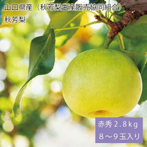 山口県産(秋芳梨生産販売協同組合) 秋芳梨 赤秀2.8kg8〜9玉入り(お届け期間:8月20日〜9月10日)【NN】