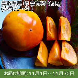 鳥取県産 柿 富有柿 6.5kg(赤秀3L〜2L)【お届け期間：11月1日〜11月30日】【イオンカード会員限定8月】