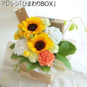 アレンジ「ひまわりBOX」【花】【年間ギフト】