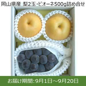 岡山県産 梨2玉・ピオーネ500g詰め合せ【お届け期間:9月1日〜9月20日】【ふるさとの味・中四国】