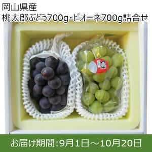 岡山県産 桃太郎ぶどう700g・ピオーネ700g詰め合せ 【お届け期間:9月1日〜10月20日】【ふるさとの味・中四国】