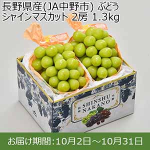 長野県産(JA中野市) ぶどう シャインマスカット 2房 1.3kg【お届け期間：10月2日〜10月31日】【イオンカード会員限定9月】