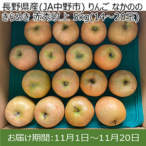 長野県産(JA中野市) りんご なかののきらめき 赤秀以上 5kg(14〜20玉)【限定30点】【お届け期間：11月1日〜11月20日】【イオンカード会員限定9月】