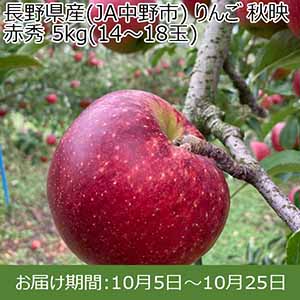 長野県産(JA中野市) りんご 秋映 赤秀 5kg(14〜18玉)【お届け期間：10月5日〜10月25日】【イオンカード会員限定9月】