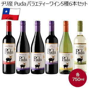 チリ産 Puda バラエティーワイン5種6本セット(各750ml)【おいしいお取り寄せ】