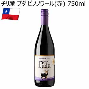 チリ産 プダ ピノノワール(赤) 750ml 【おいしいお取り寄せ】