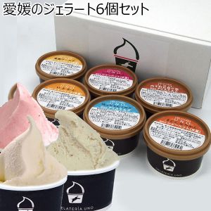 ジェラテリアUNO 愛媛のジェラート 6個セット(90ml×6)【お届け期間 9/10〜3/10】【ふるさとの味・北陸信越】