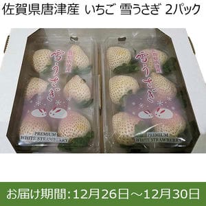 佐賀県唐津産 いちご 雪うさぎ 2パック【限定30点】【お届け期間：12月26日〜12月30日】【年末年始ごちそう特集】