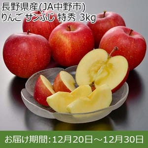 長野県産(JA中野市) りんご サンふじ 特秀 3kg【限定100点】【お届け期間：12月20日〜12月30日】【年末年始ごちそう特集】